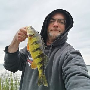 Meet your Posher, Jason